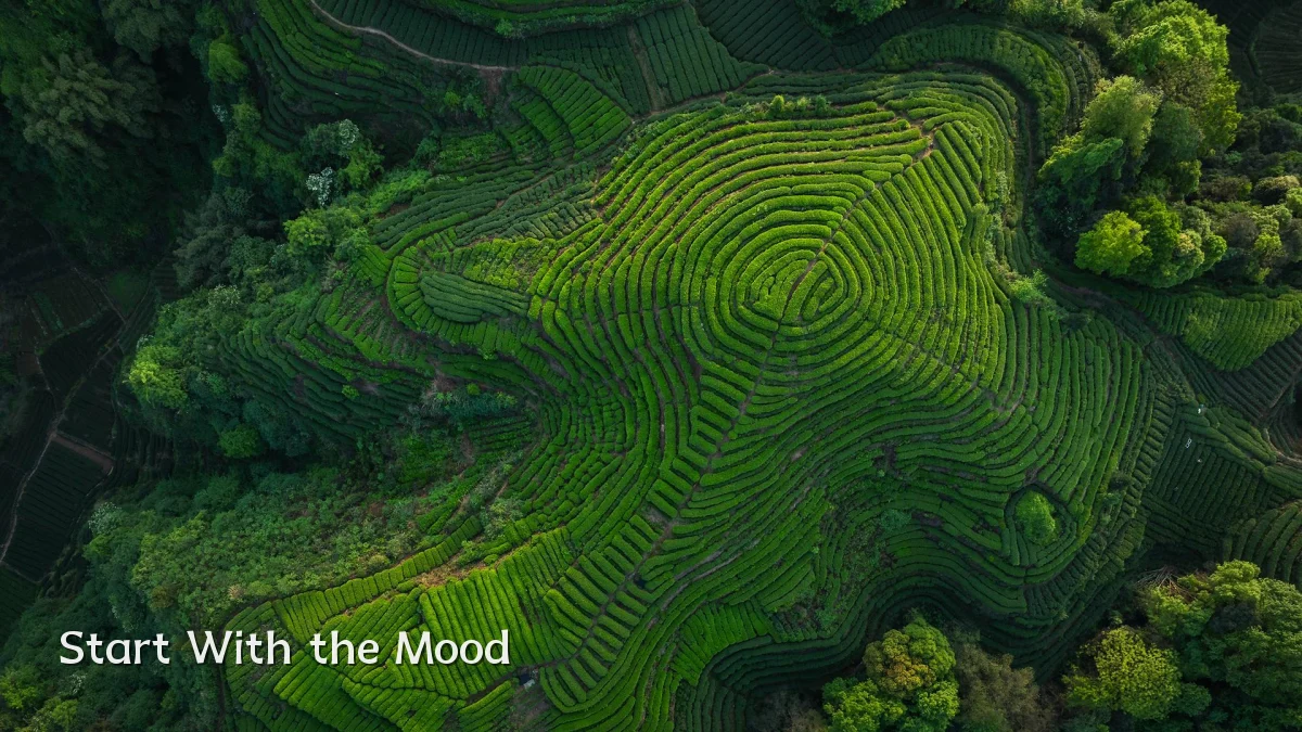 Start With the Mood