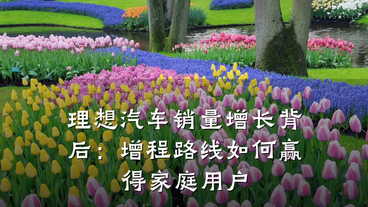 理想汽车销量增长背后：增程路线如何赢得家庭用户