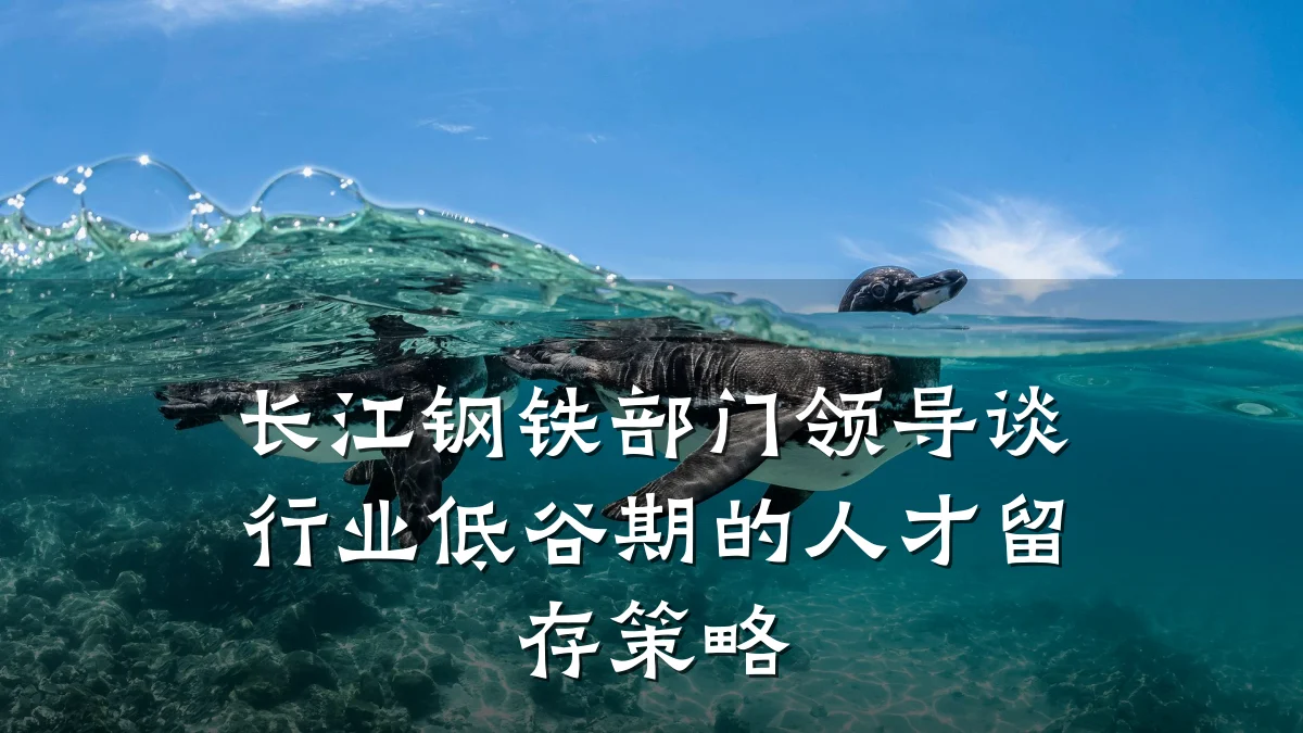 长江钢铁部门领导谈行业低谷期的人才留存策略