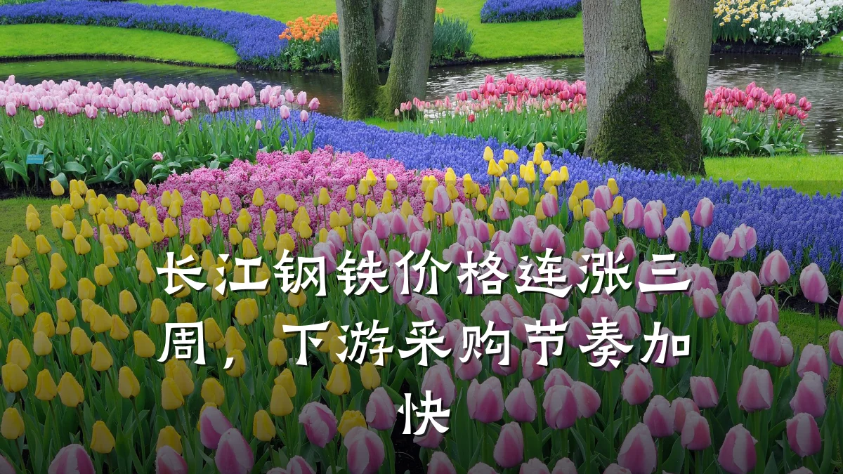 长江钢铁价格连涨三周，下游采购节奏加快