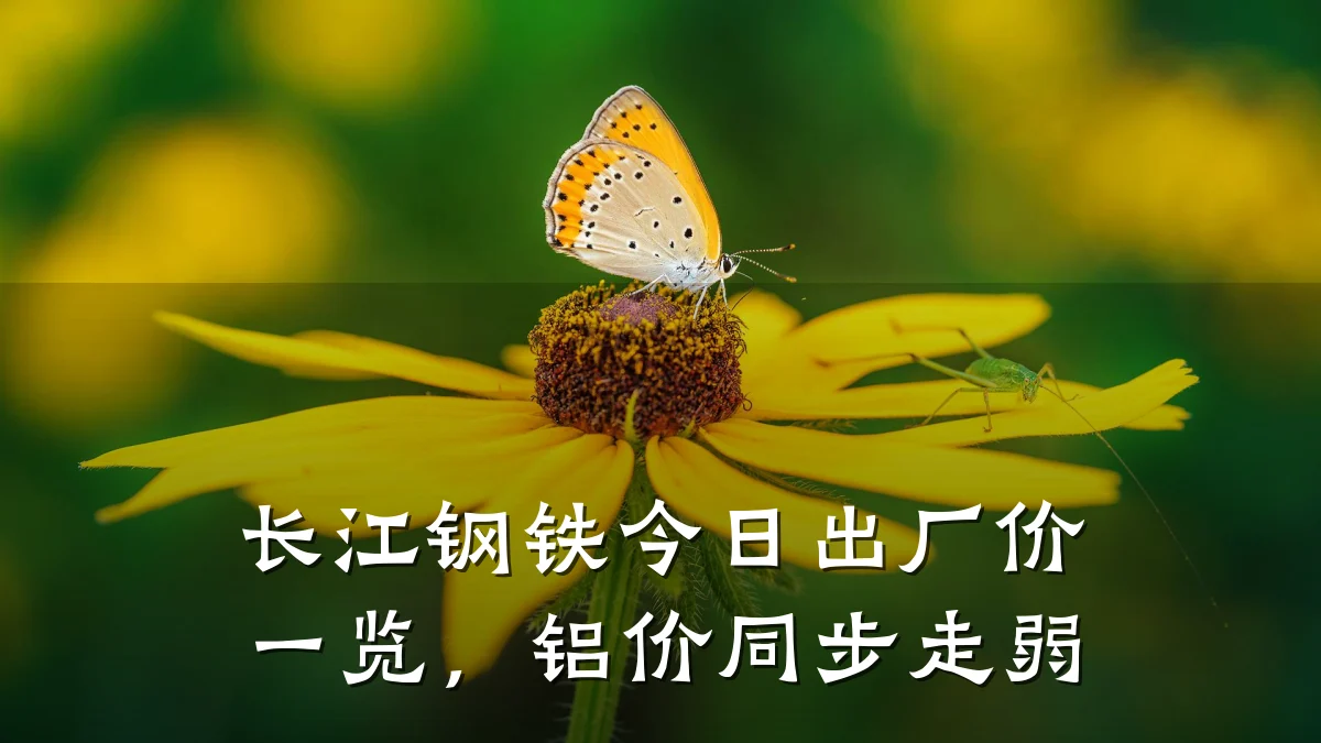 长江钢铁今日出厂价一览，铝价同步走弱