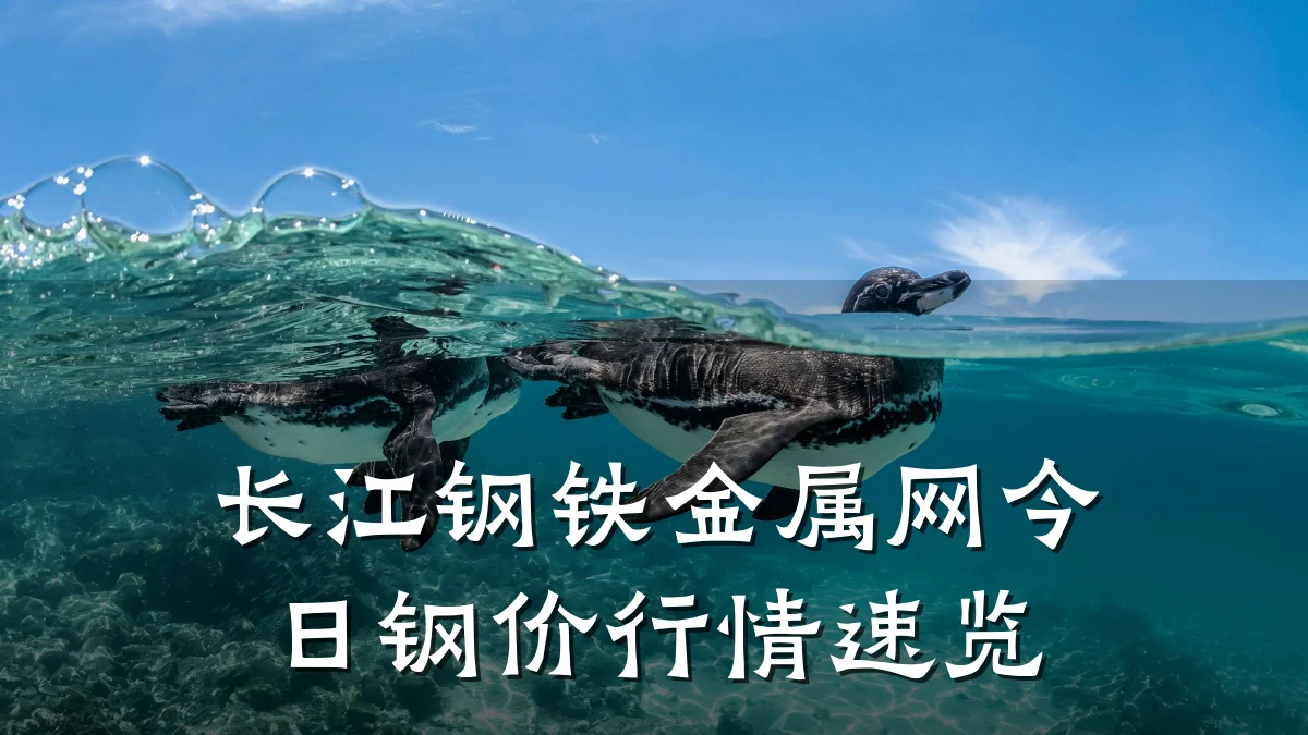 长江钢铁金属网今日钢价行情速览