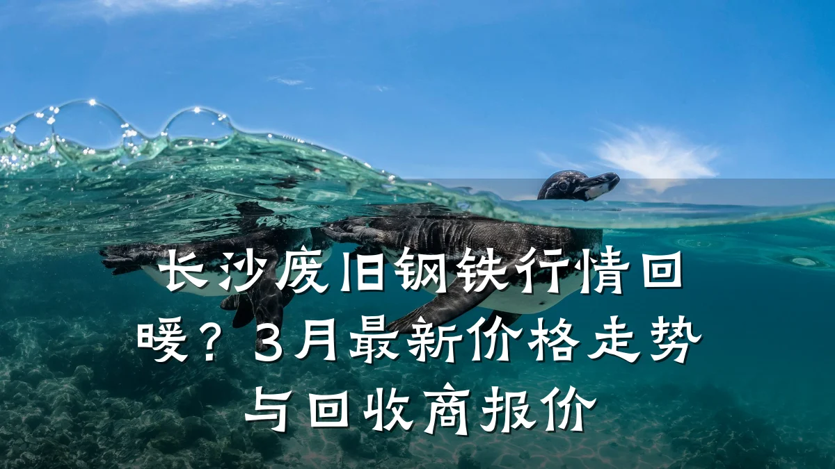 长沙废旧钢铁行情回暖？3月最新价格走势与回收商报价