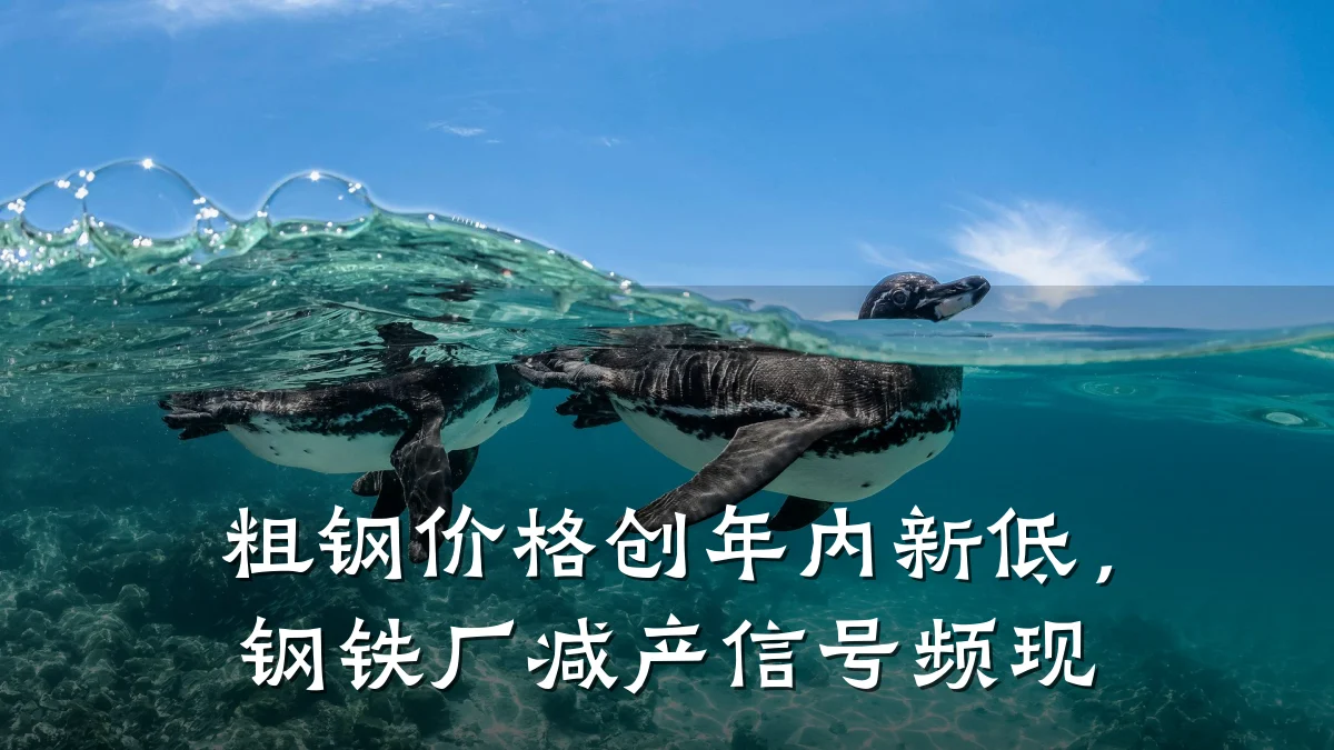 粗钢价格创年内新低，钢铁厂减产信号频现