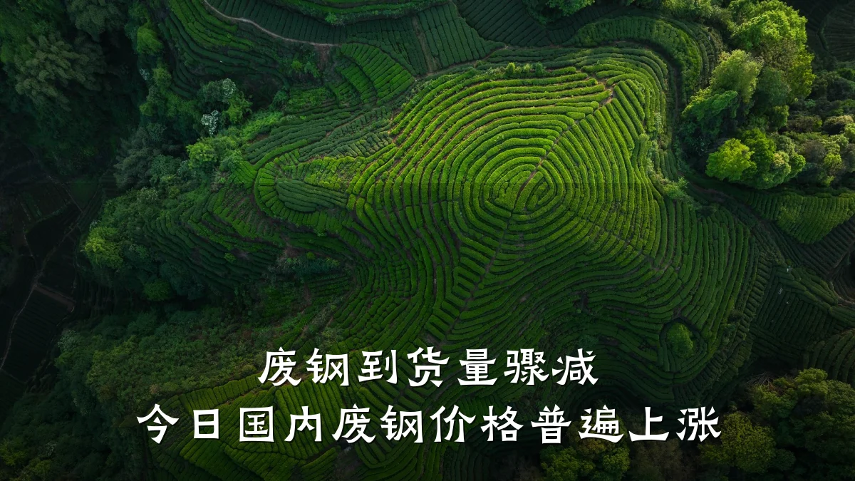 废钢到货量骤减 今日国内废钢价格普遍上涨