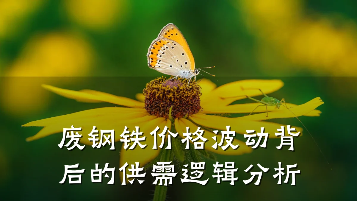 废钢铁价格波动背后的供需逻辑分析