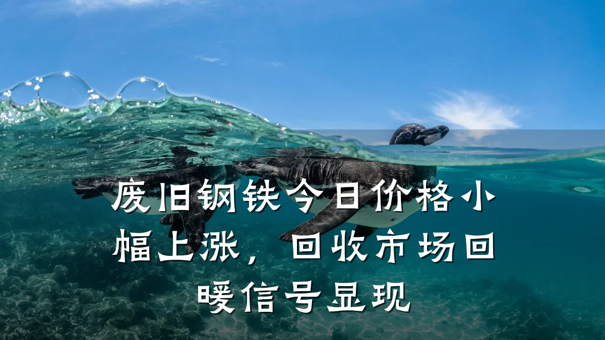 废旧钢铁今日价格小幅上涨，回收市场回暖信号显现