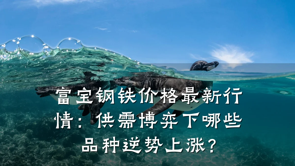 富宝钢铁价格最新行情:供需博弈下哪些品种逆势上涨?