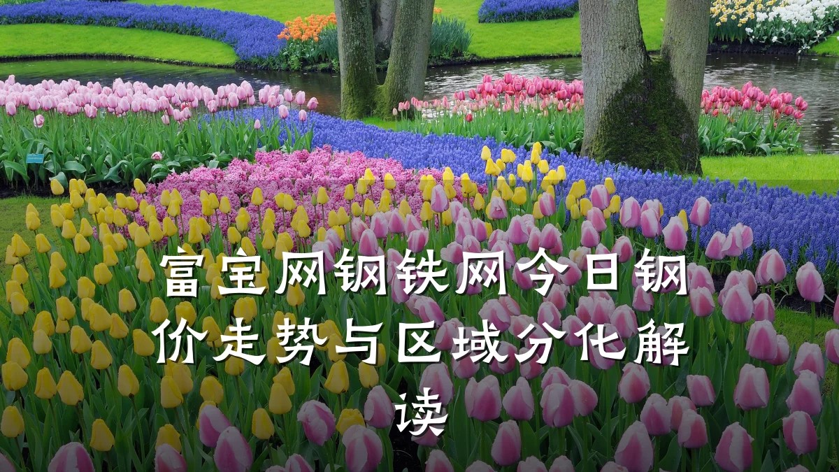 富宝网钢铁网今日钢价走势与区域分化解读