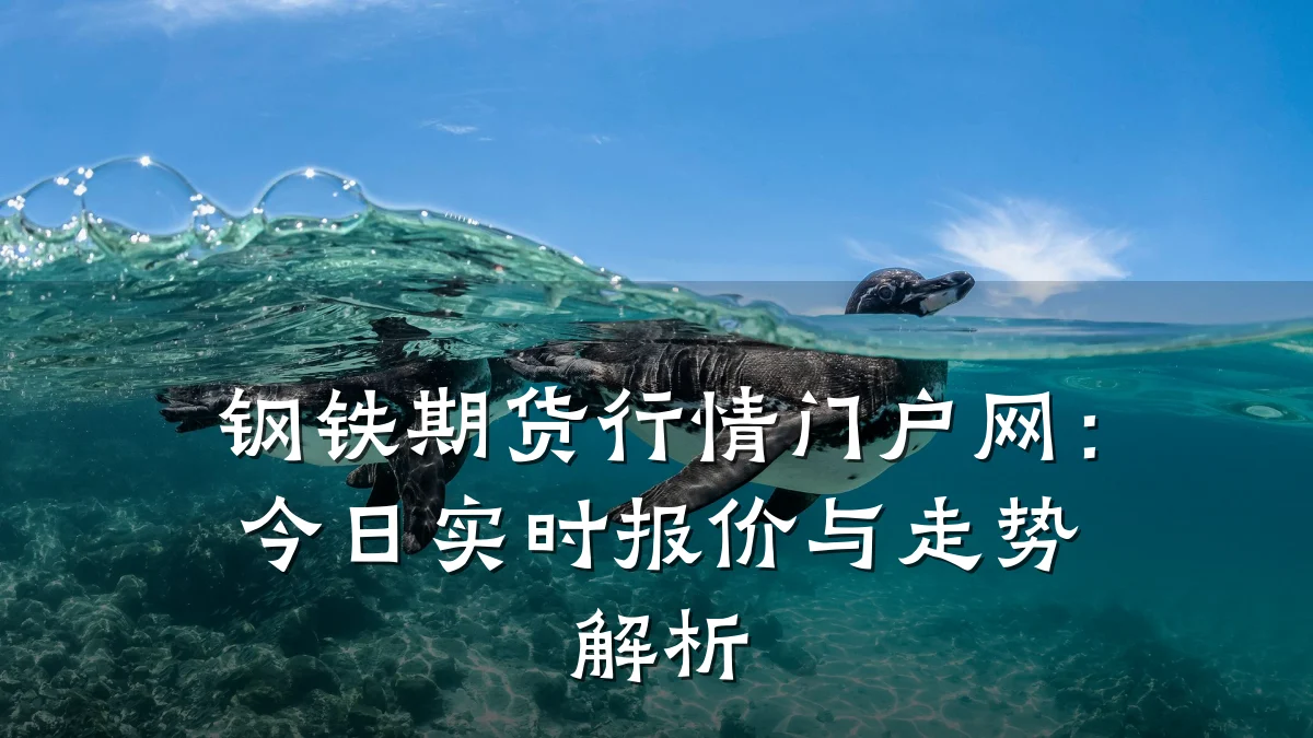 钢铁期货行情门户网：今日实时报价与走势解析