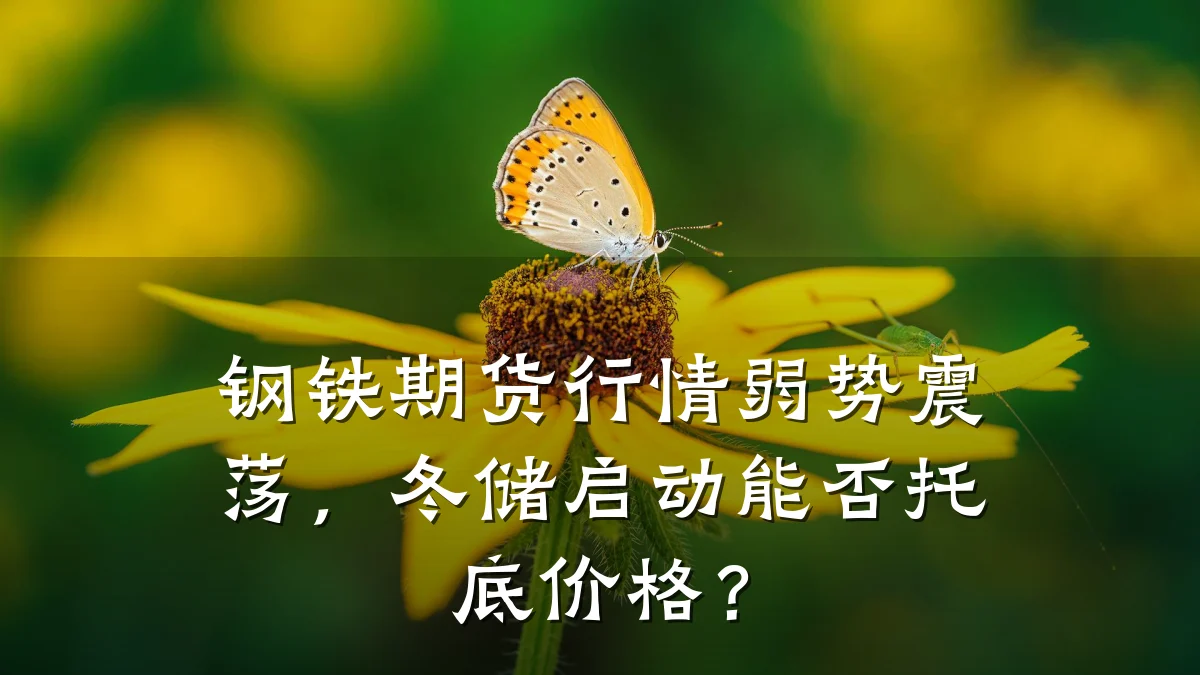 钢铁期货行情弱势震荡，冬储启动能否托底价格？