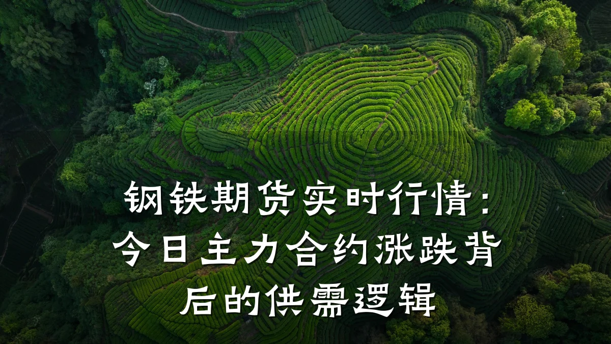 钢铁期货实时行情：今日主力合约涨跌背后的供需逻辑