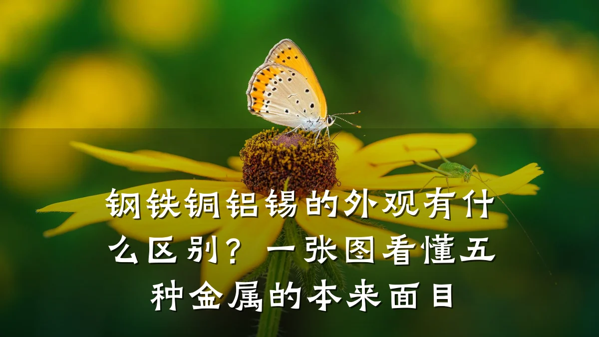 钢铁铜铝锡的外观有什么区别？一张图看懂五种金属的本来面目