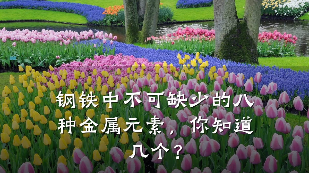 钢铁中不可缺少的八种金属元素，你知道几个？