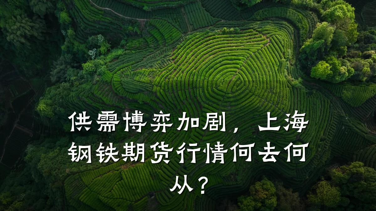 供需博弈加剧，上海钢铁期货行情何去何从？