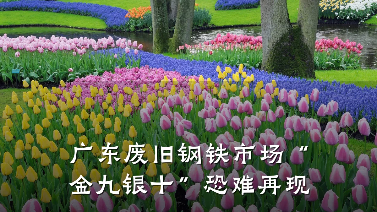 广东废旧钢铁市场“金九银十”恐难再现
