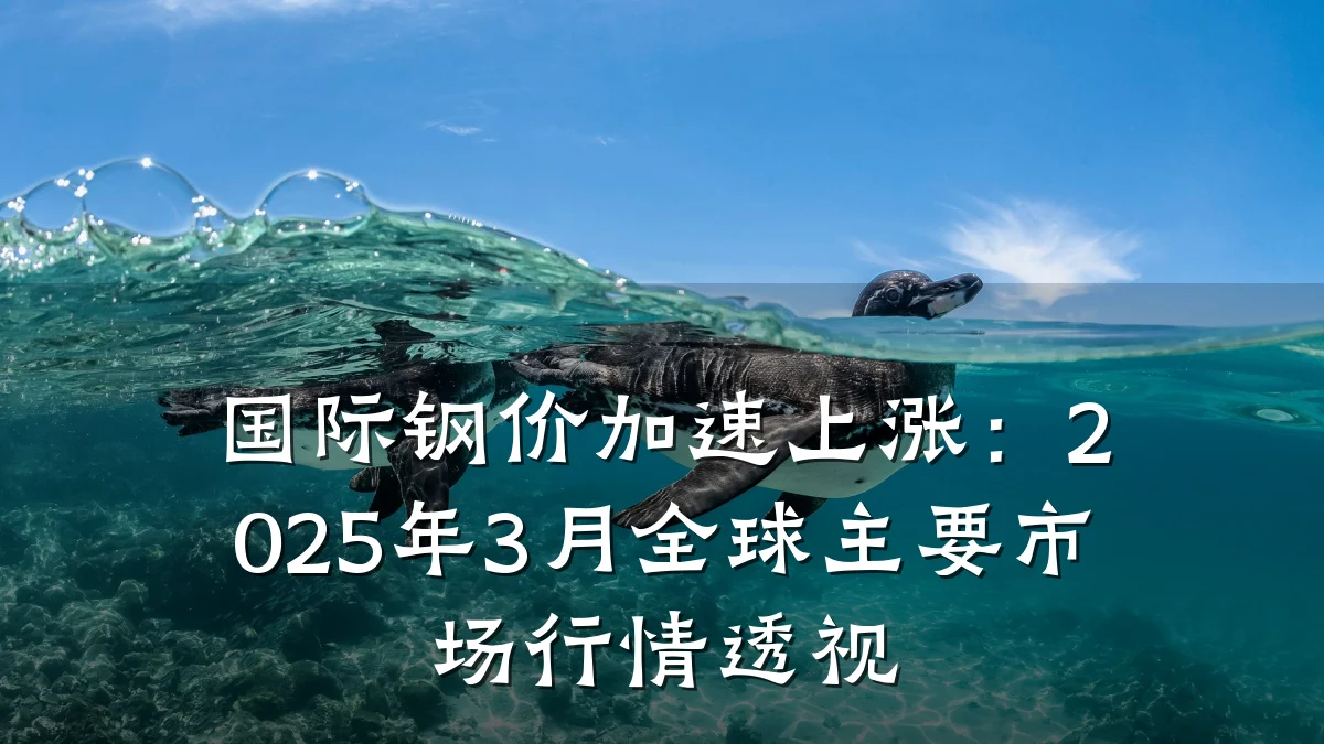 国际钢价加速上涨:2025年3月全球主要市场行情透视