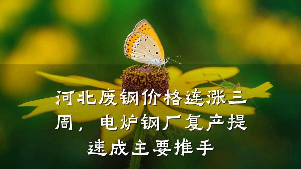 河北废钢价格连涨三周，电炉钢厂复产提速成主要推手
