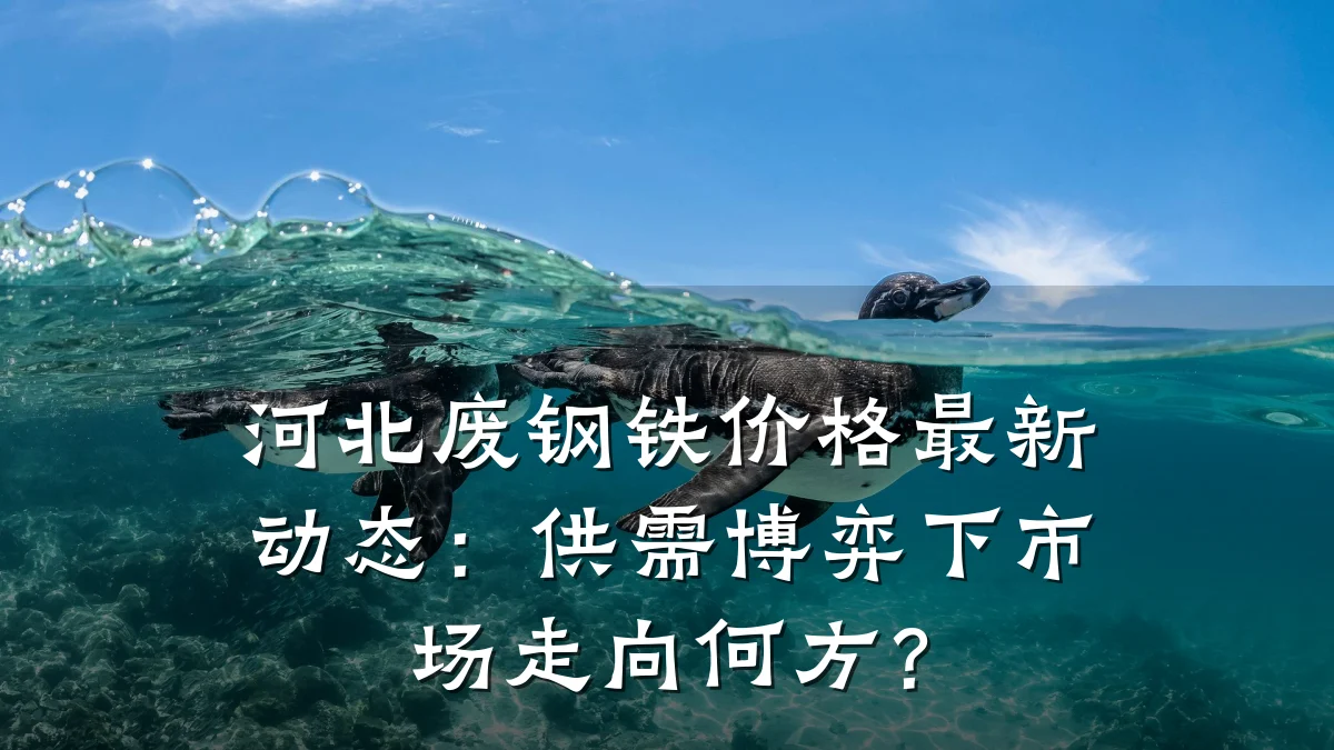 河北废钢铁价格最新动态：供需博弈下市场走向何方？