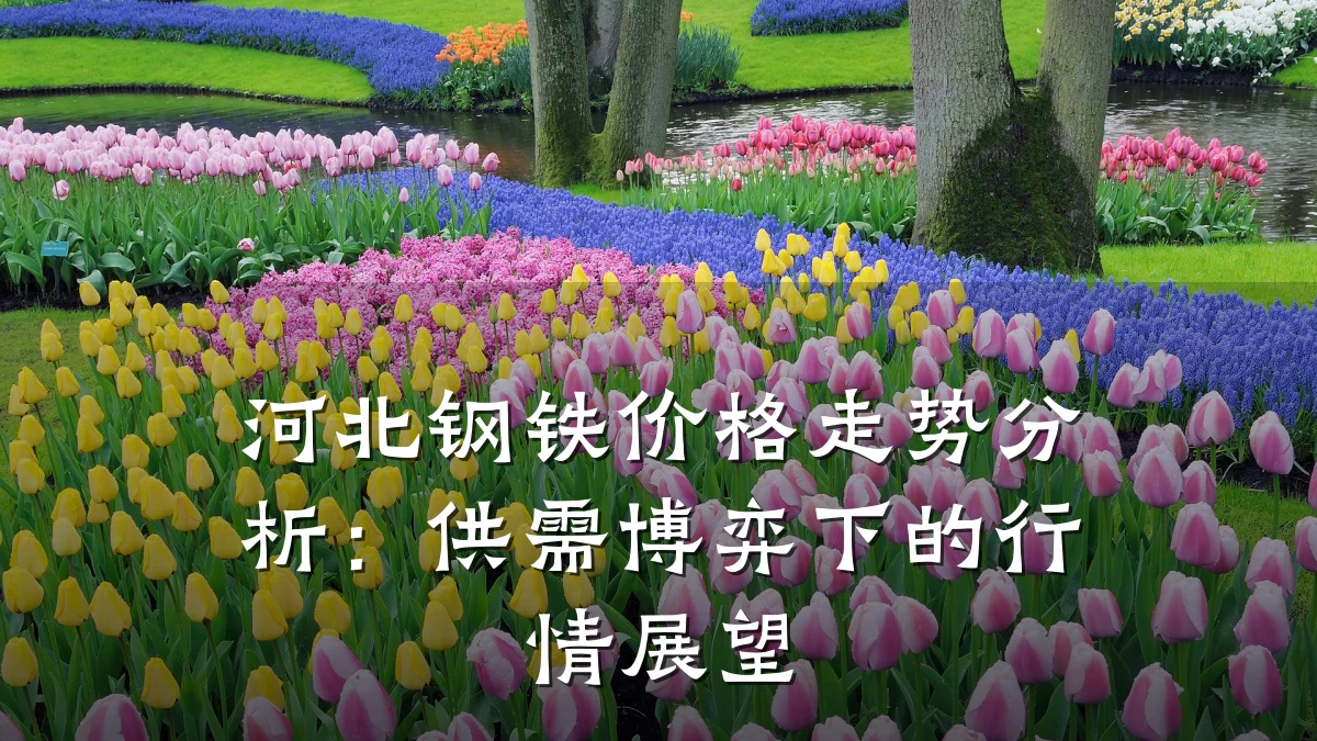 河北钢铁价格走势分析：供需博弈下的行情展望
