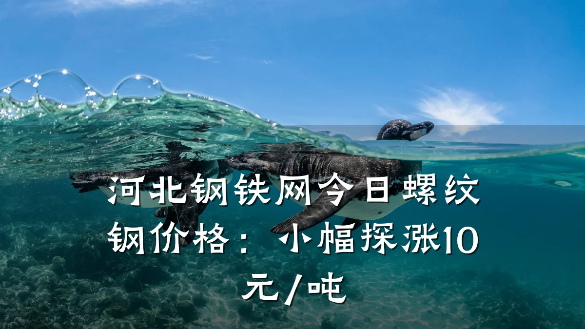 河北钢铁网今日螺纹钢价格：小幅探涨10元/吨