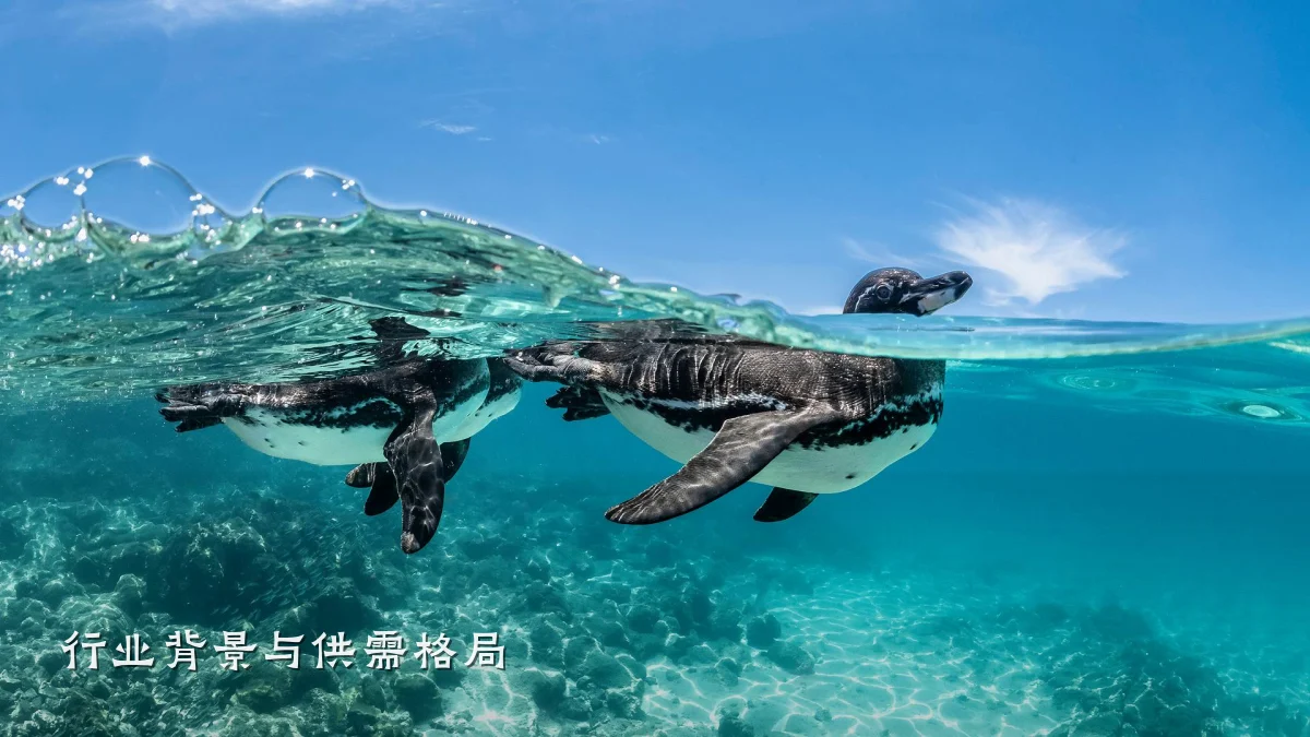 行业背景与供需格局
