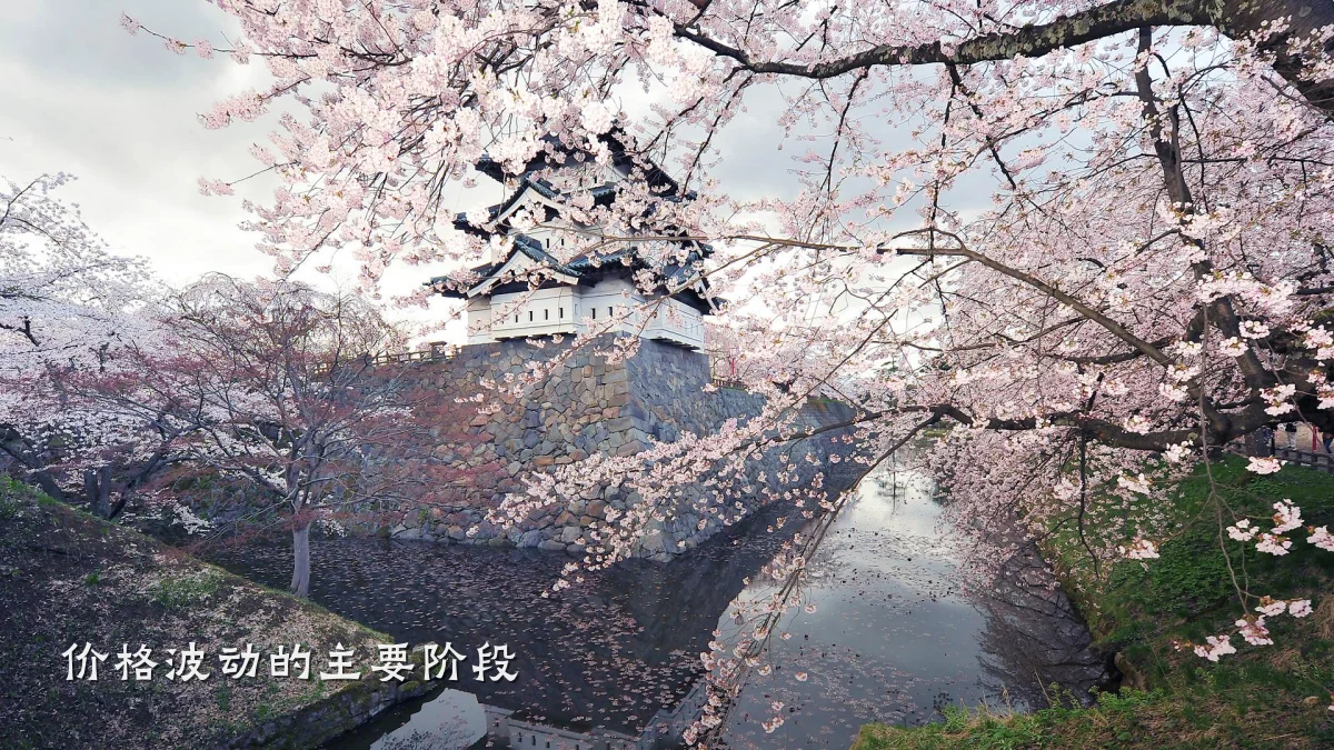 价格波动的主要阶段