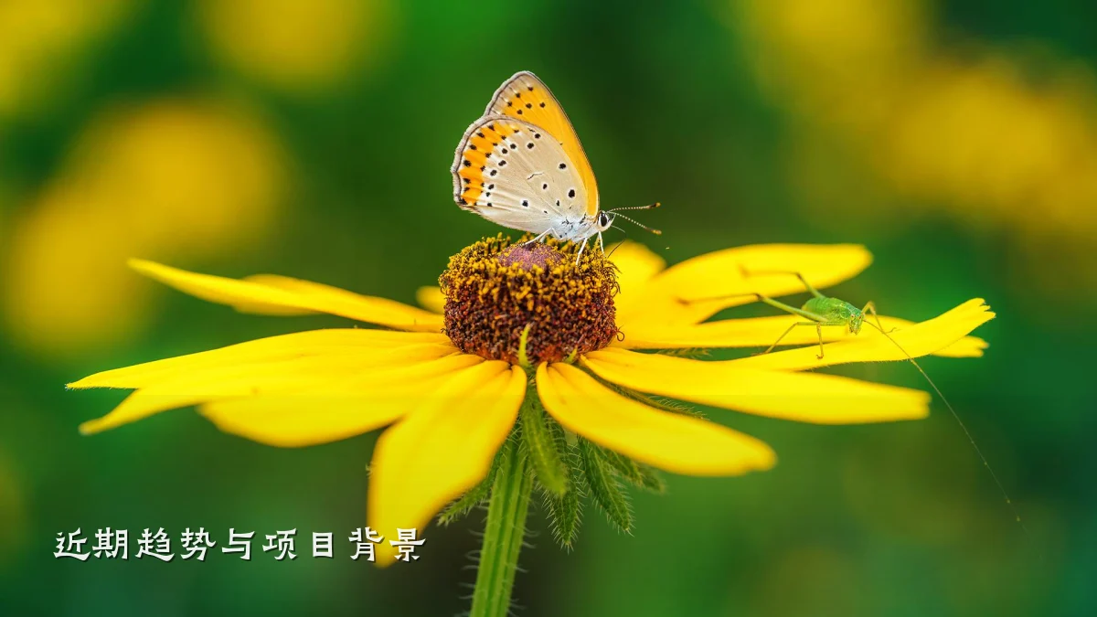 近期趋势与项目背景