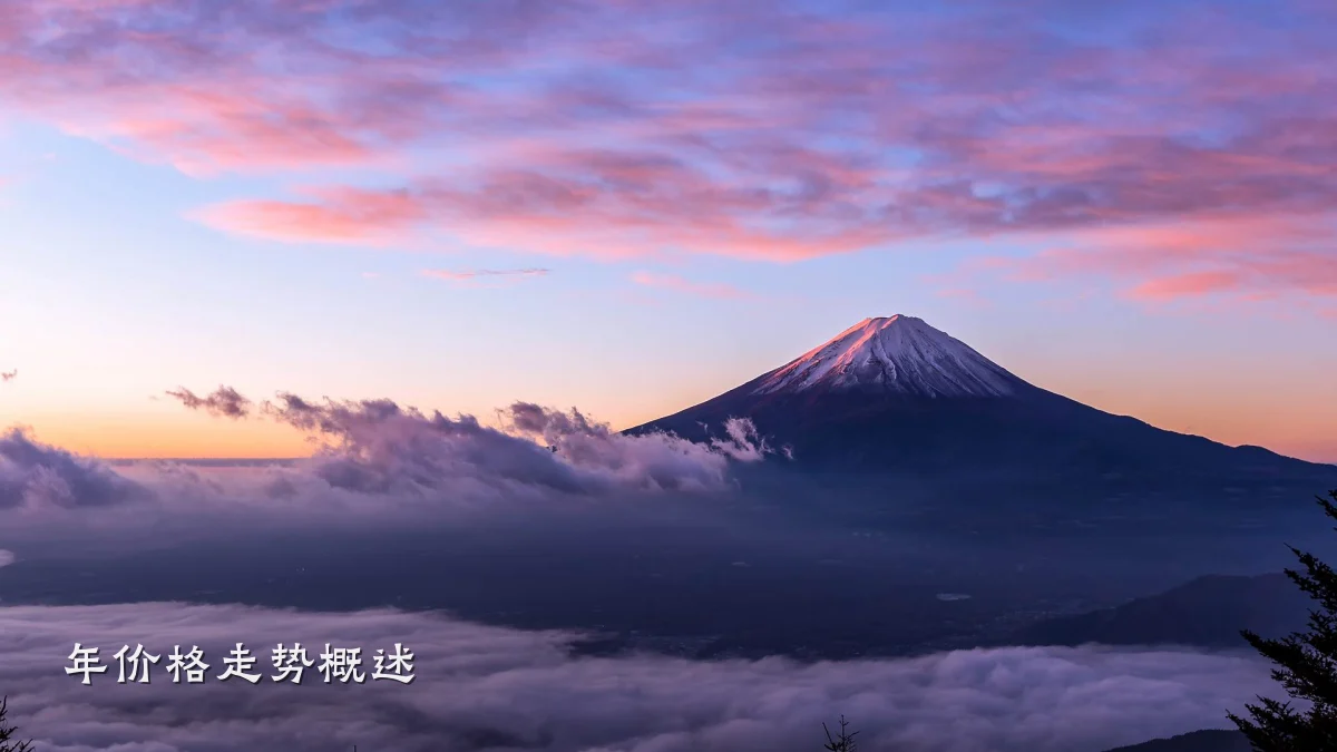 年价格走势概述