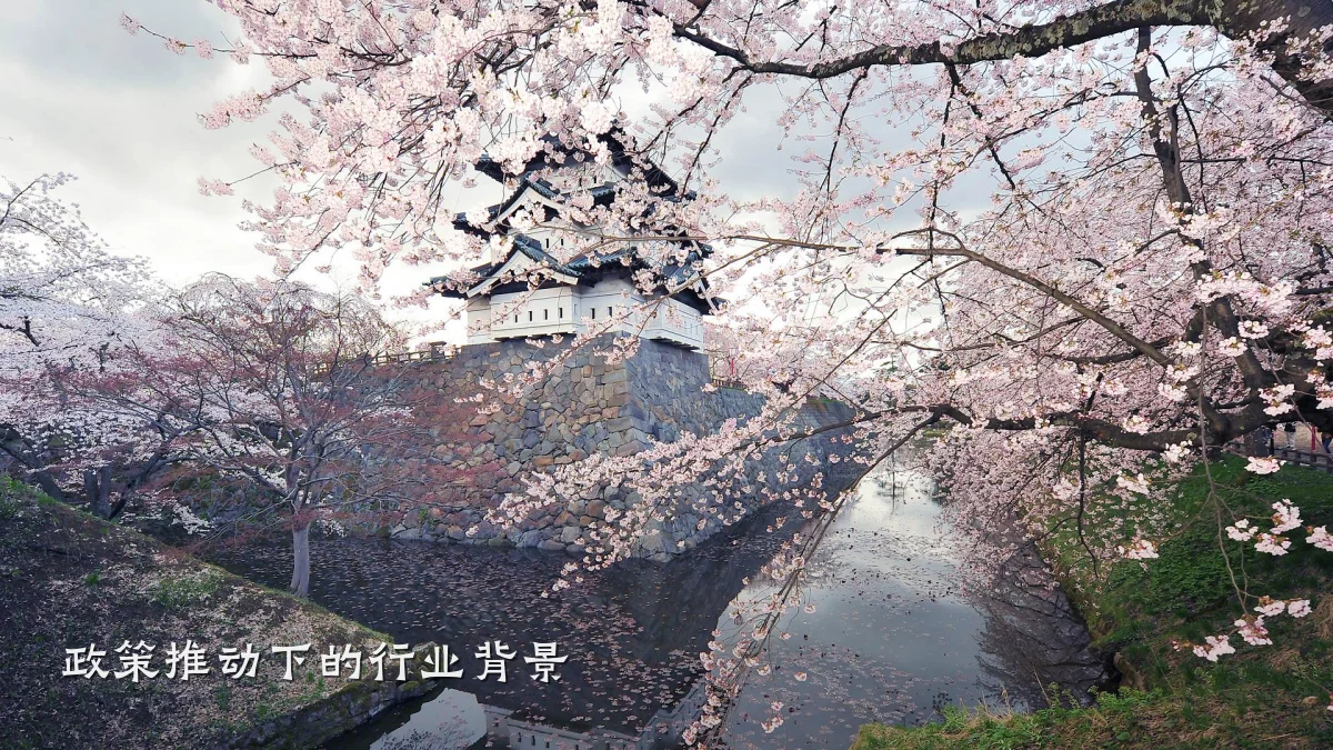 政策推动下的行业背景