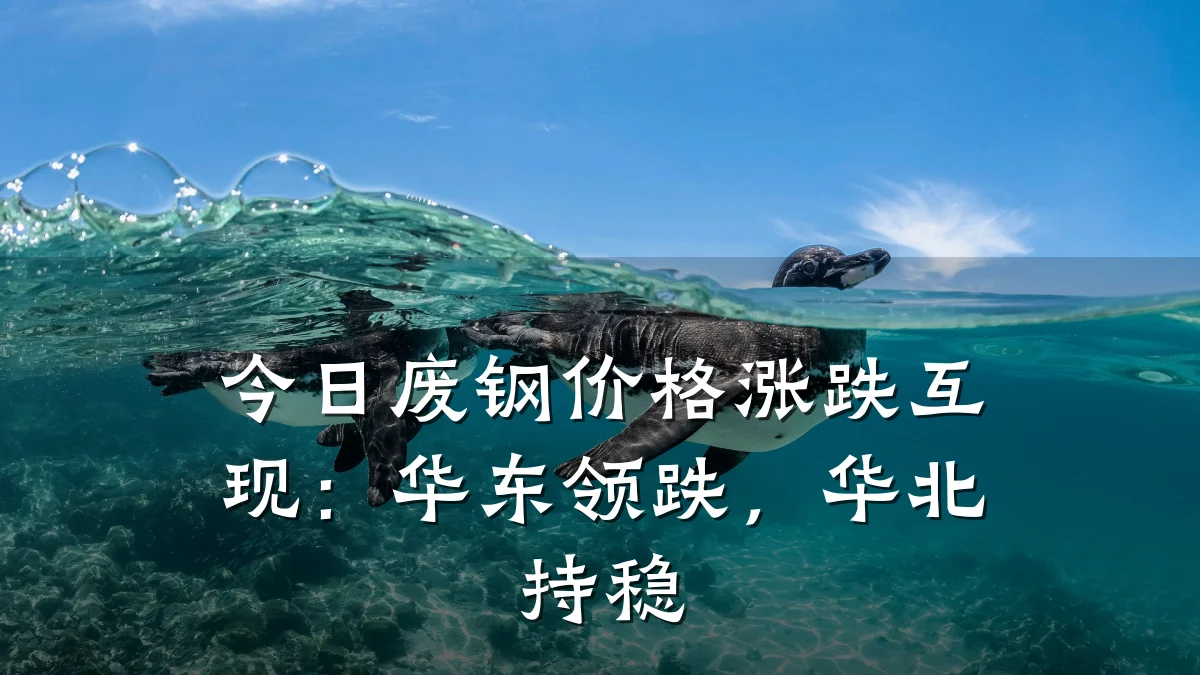 今日废钢价格涨跌互现：华东领跌，华北持稳