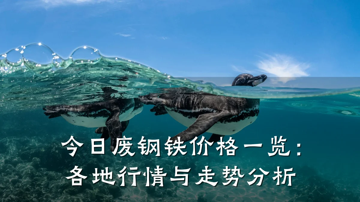 今日废钢铁价格一览：各地行情与走势分析