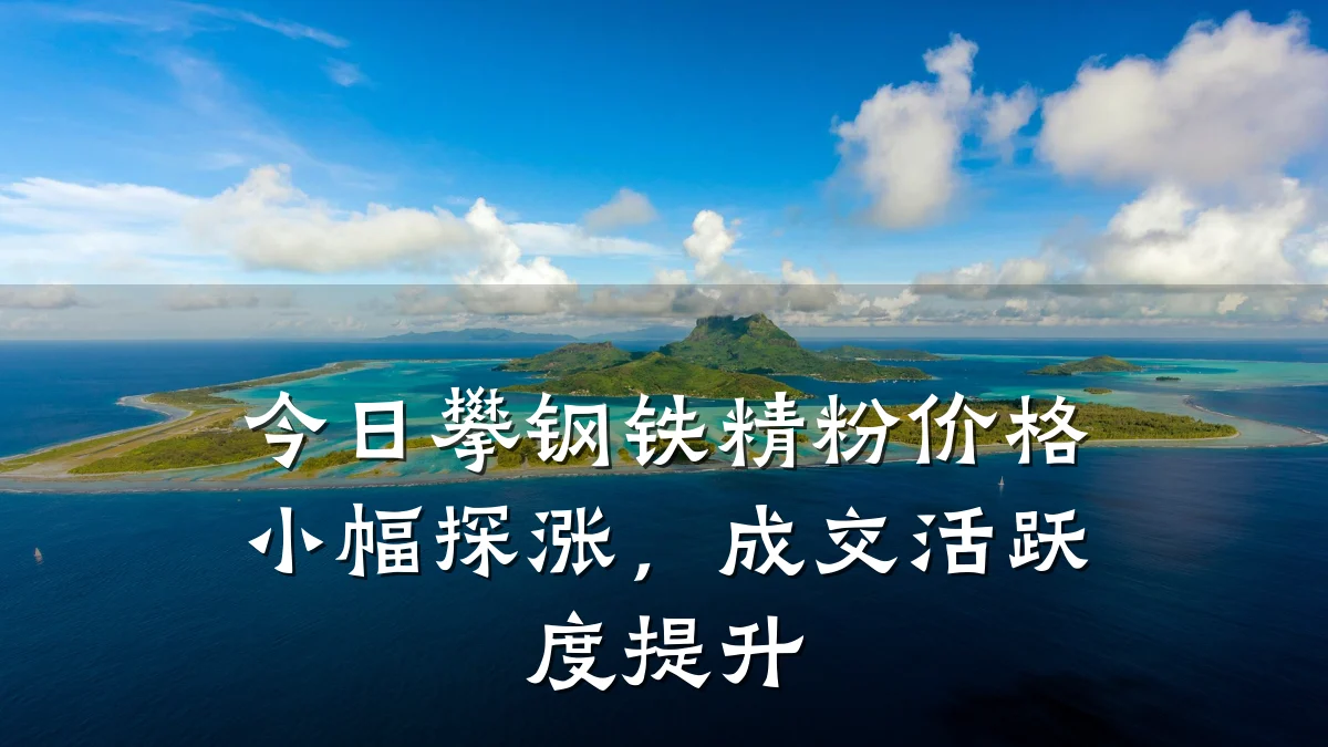 今日攀钢铁精粉价格小幅探涨，成交活跃度提升