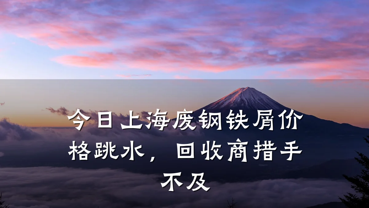 今日上海废钢铁屑价格跳水，回收商措手不及