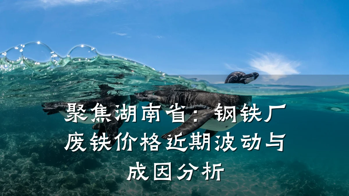 聚焦湖南省：钢铁厂废铁价格近期波动与成因分析
