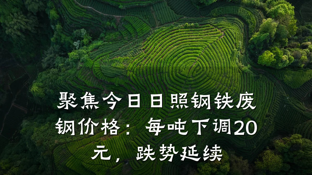 聚焦今日日照钢铁废钢价格：每吨下调20元，跌势延续