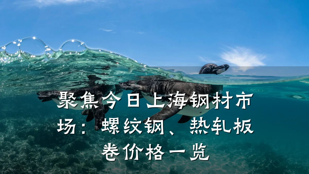 聚焦今日上海钢材市场：螺纹钢、热轧板卷价格一览