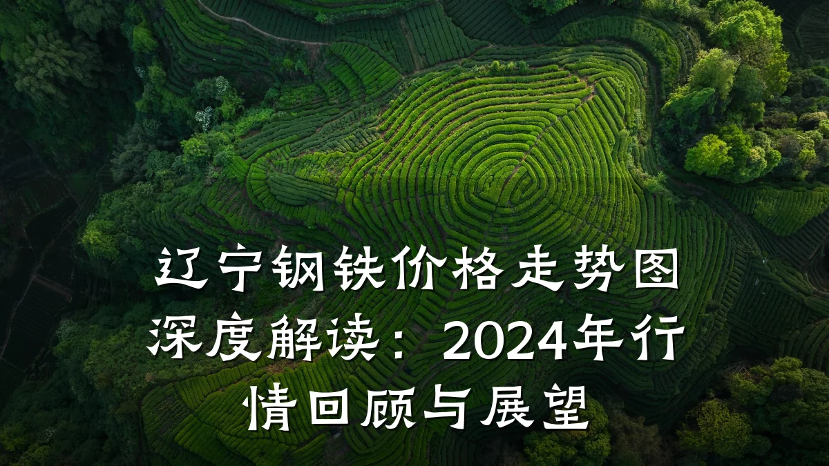辽宁钢铁价格走势图深度解读：2024年行情回顾与展望