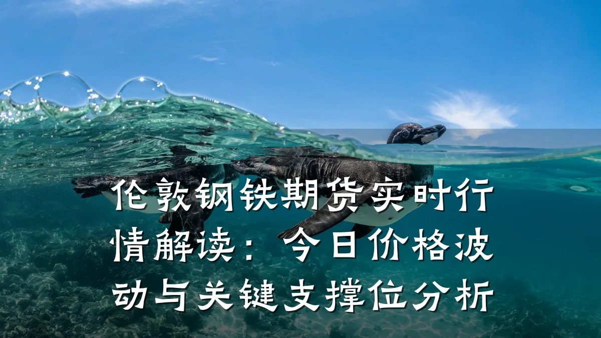 伦敦钢铁期货实时行情解读：今日价格波动与关键支撑位分析