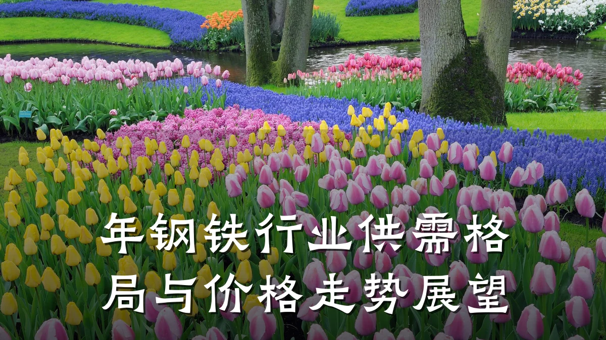 年钢铁行业供需格局与价格走势展望
