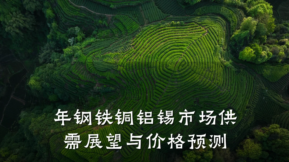 年钢铁铜铝锡市场供需展望与价格预测