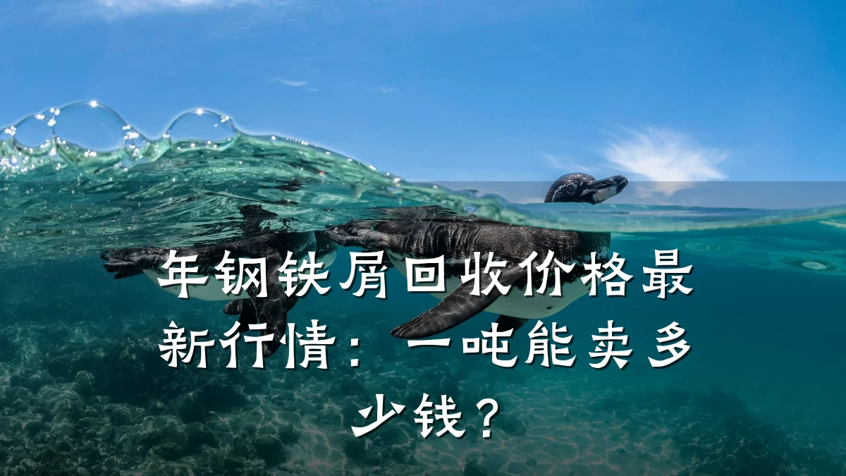 年钢铁屑回收价格最新行情：一吨能卖多少钱？