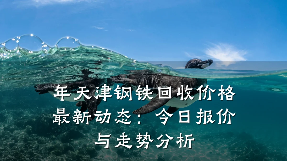年天津钢铁回收价格最新动态:今日报价与走势分析