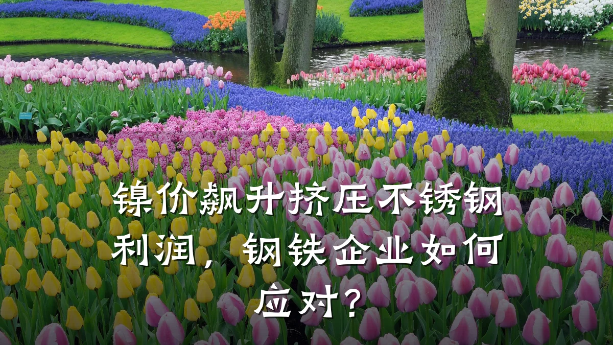 镍价飙升挤压不锈钢利润，钢铁企业如何应对？
