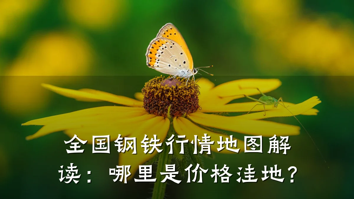 全国钢铁行情地图解读：哪里是价格洼地？