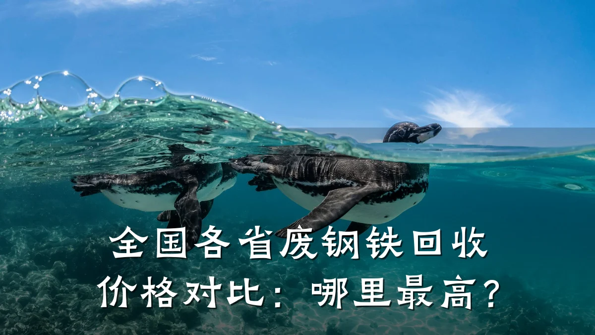 全国各省废钢铁回收价格对比：哪里最高？