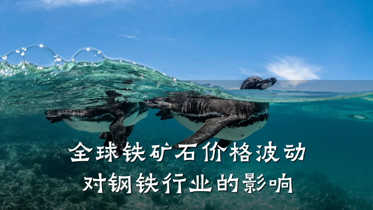 全球铁矿石价格波动对钢铁行业的影响