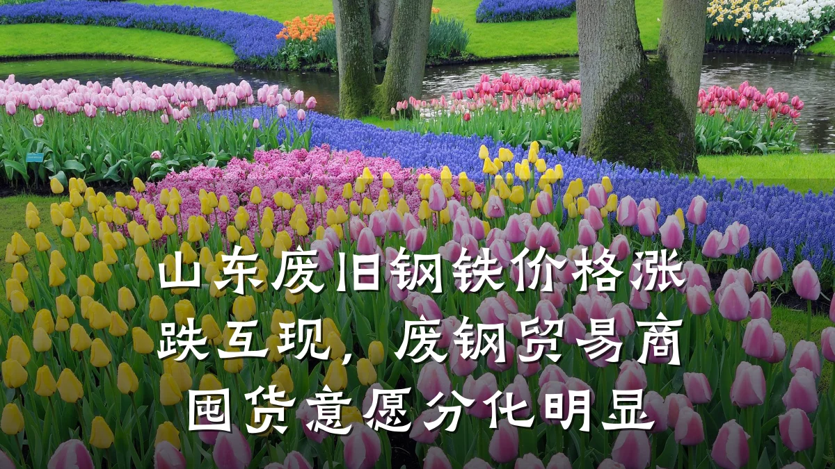 山东废旧钢铁价格涨跌互现，废钢贸易商囤货意愿分化明显