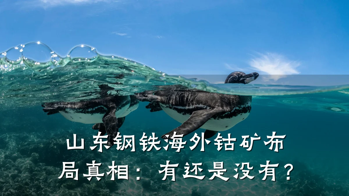 山东钢铁海外钴矿布局真相：有还是没有？