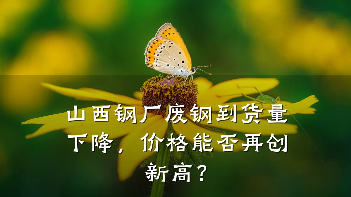 山西钢厂废钢到货量下降，价格能否再创新高？